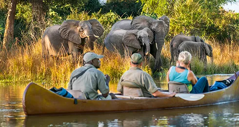 Explore-Zambia-Private-Guided-Safaris-Route-Discover-Malawi-and-Zambia