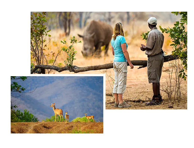 Explore-Zambia-Private-Guided-Safaris