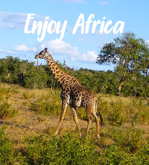 Explore-Zambia-Private-Guided-Safari-Combi-Malawi-Zambia