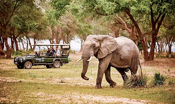 Explore-Zambia-Private-Guided-Safari-Combi-Malawi-Zambia-What is excluded