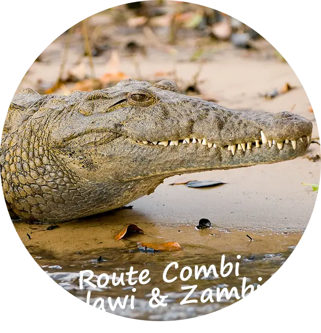 Explore-Zambia-Private-Guided-Safari-Combi-Malawi-Zambia