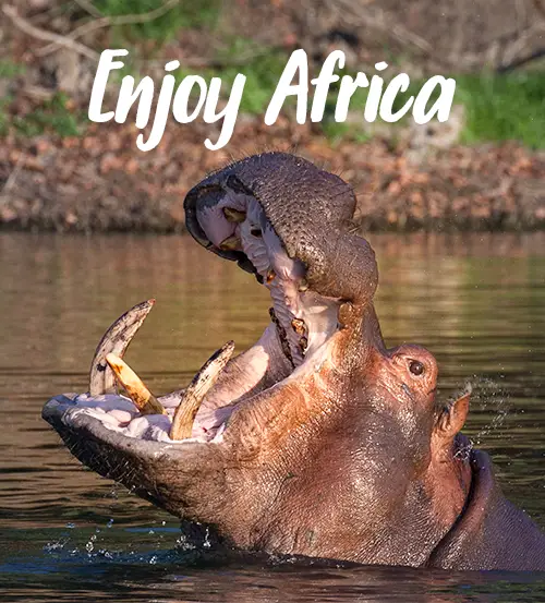 Explore-Zambia-Private-Guided-Safari-Discover-Malawi-Zambia-enjoy-africa