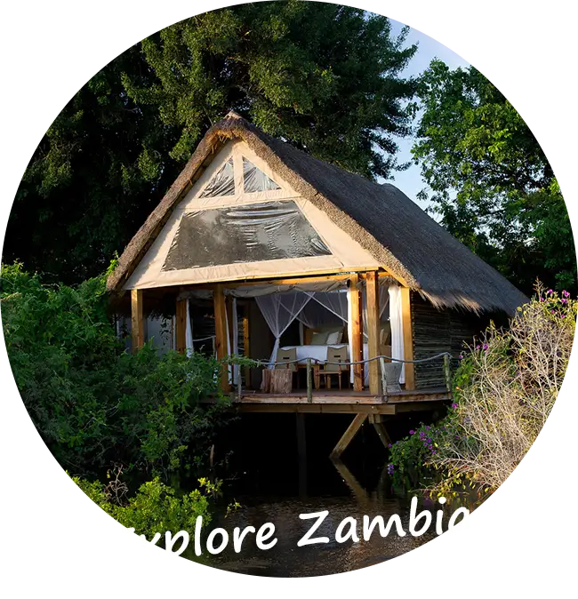 Explore-Zambia-Private-Guided-Safaris-About-us