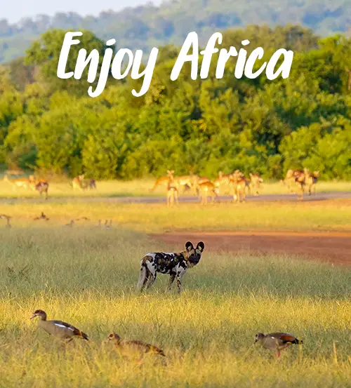 Explore-Zambia-Private-Guided-Safaris-About-us-Enjoy-Africa