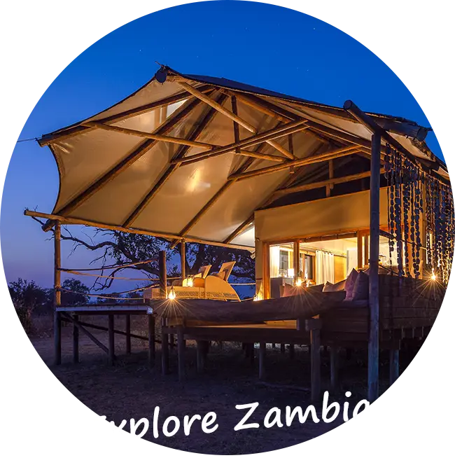 Explore-Zambia-Private-Guided-Safaris-Contact-us