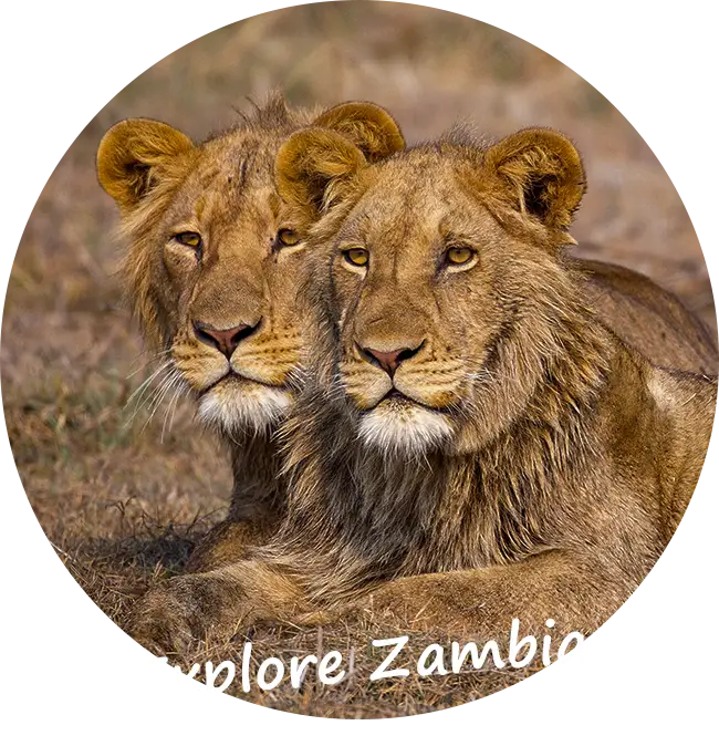 Explore-Zambia-Private-Guided-Safaris-Guarantee Scheme-Emergency Fund