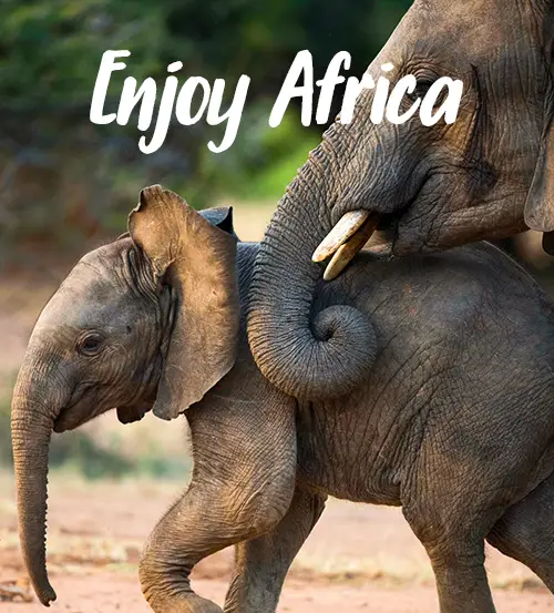 Explore-Zambia-Private-Guided-Safaris-Guarantee Scheme-Emergency Fund-Enjoy-Africa
