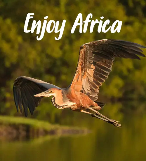 Explore-Zambia-Private-Guided-Safaris-Information-About-Zambia-Enjoy-Africa
