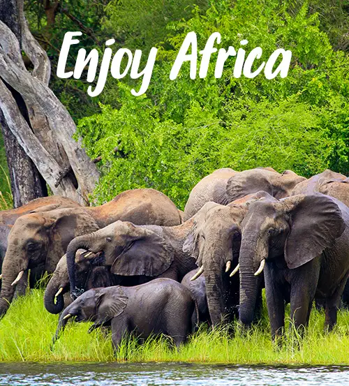Explore-Zambia-Private-Guided-Safaris-Itineraries-Enjoy-Africa