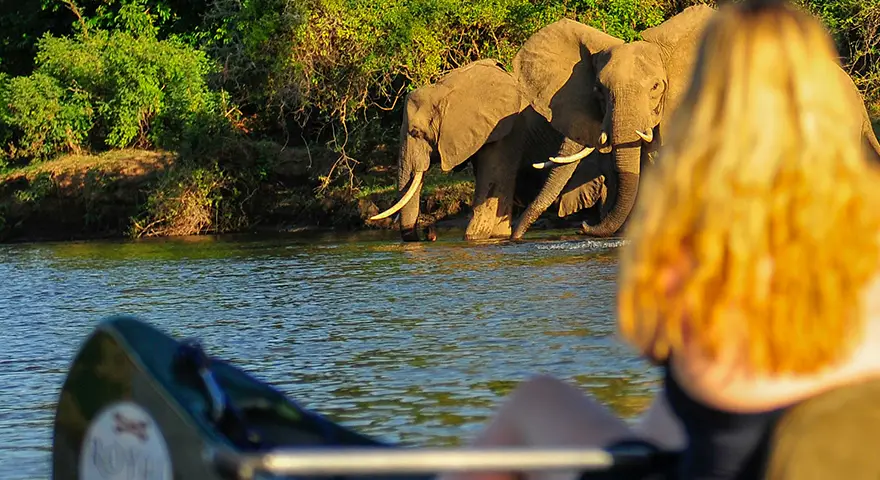 Explore-Zambia-Private-Guided-Safaris-Payments