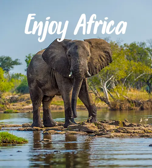 Explore-Zambia-Private-Guided-Safaris-Quotations-Enjoy-Africa