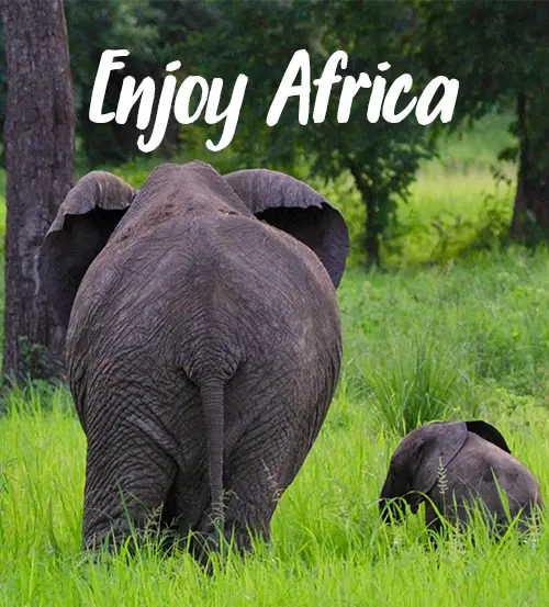 Explore-Zambia-Private-Guided-Safaris-Review-Explore-Africa-Travel-Enjoy-Africa