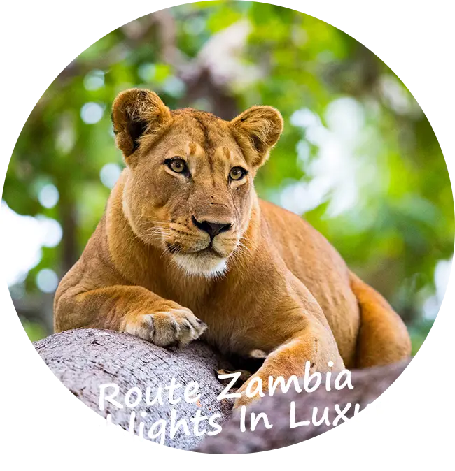 Explore-Zambia-Private-Guided-Safaris-Route-Zambia-Highlights-luxury