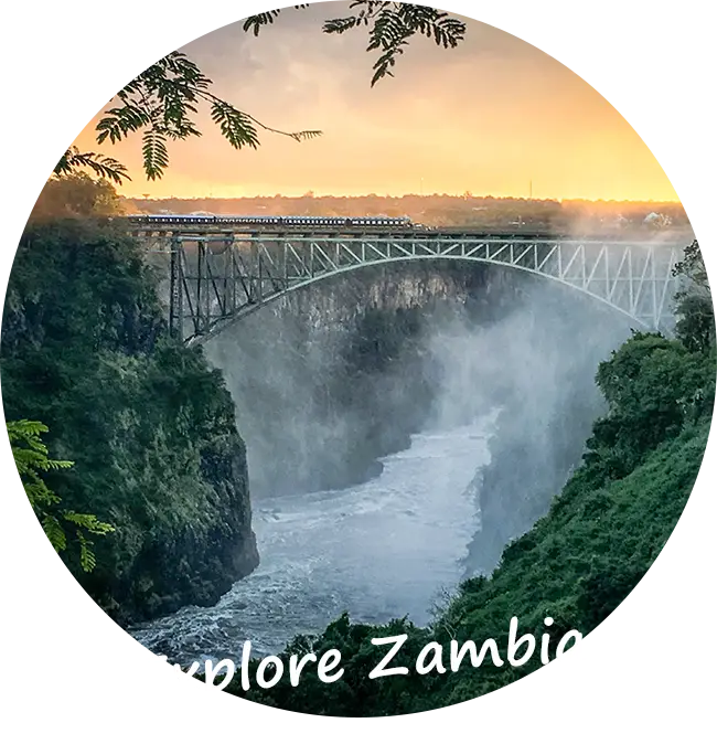 Explore-Zambia-Private-Guided-Safaris-Thank-You