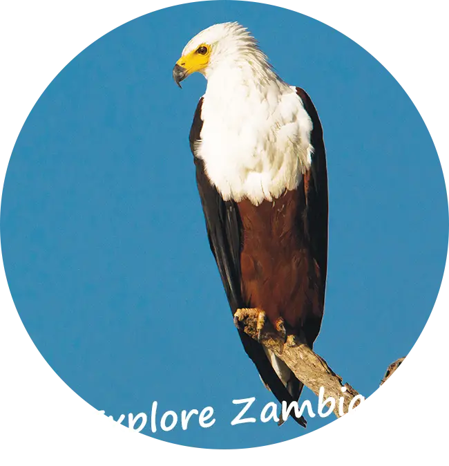 Explore-Zambia-Private-Guided-Safaris-Travelling-in-Zambia