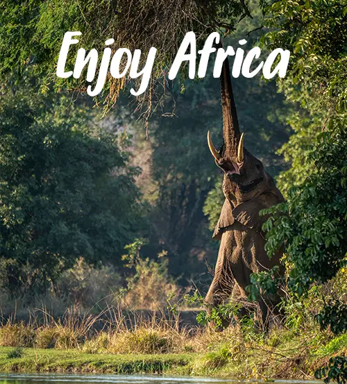 Explore-Zambia-Private-Guided-Safaris-Travelling-in-Zambia-enjoy-Africa