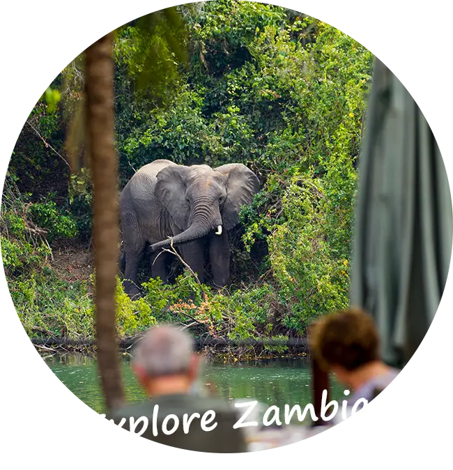 Explore-Zambia-Private-Guided-Safaris-Sustainable Travel