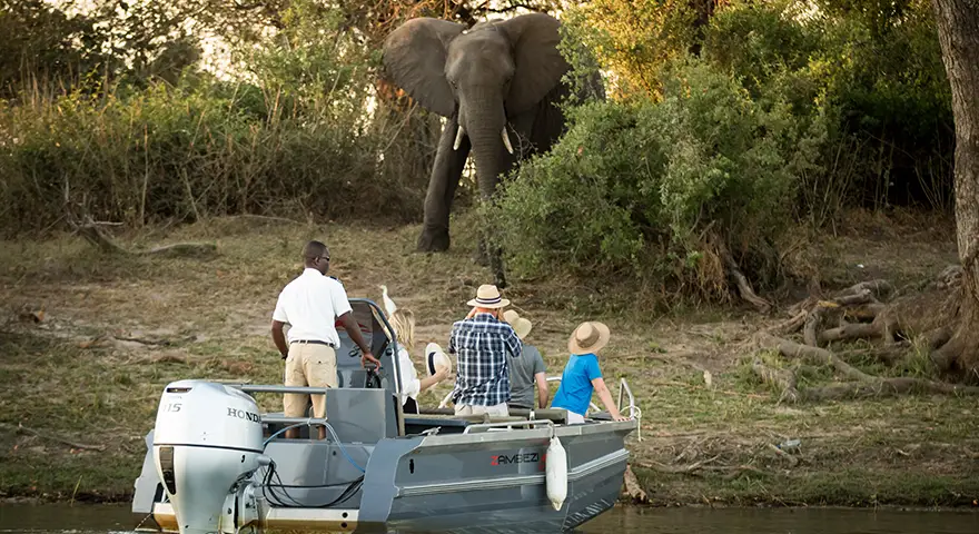 Explore-Zambia-Private-Guided-Safaris-What-We-Offer-Safari
