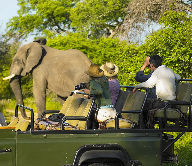 Explore-Zambia-Unforgettable Private Safari to Zambia